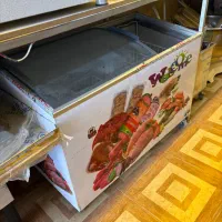 انواع فریزر های صنعتی|فروشگاه و مغازه|شیراز, چنچنه|دیوار