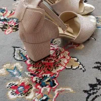 کفش مجلسی
