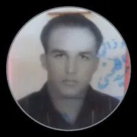 تصادف کردی بخون به دردت میخوره|خدمات مالی، حسابداری، بیمه|شاهین‌شهر, بنیاد ازدواج|دیوار