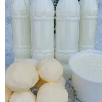 لبنیات محلی کوشک