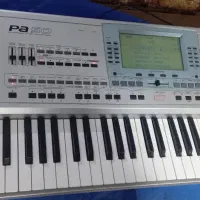 کرگ|پیانو، کیبورد، آکاردئون|اسلامشهر, مطهری|دیوار