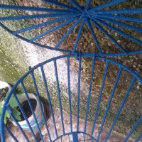 فروش سه عدد سطل زباله|لوازم نظافت|چالوس, |دیوار