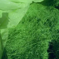 سلام یونجه چین ۴ کاملا خشک و انباری کیلویی ۳۹ هزار