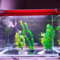 اکواریوم شیشه خم شرکتی