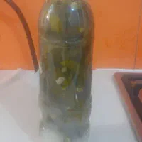 خیارشور