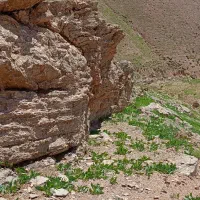 جبش‌چاق‌چاله