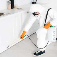 سمپاشی خونگی غیره|خدمات نظافت|خورموج, |دیوار