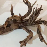 چوب آبنوس