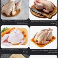 به دونیروی کار در غرفه مرغ و ماهی دعوت به همکاری