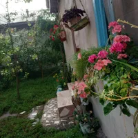 اجاره کوتاه مدت سوئیت|اجارهٔ کوتاه‌مدت آپارتمان و سوئیت|ماسال, |دیوار