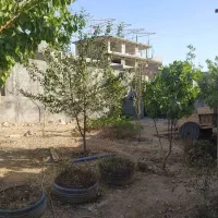 باغچه در کوشک زر|فروش زمین و ملک کلنگی|هشتگرد, کوشک زر|دیوار