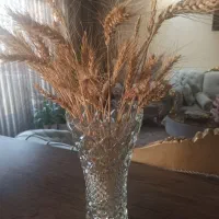 یک عدد گلدان قدیمی بزرگ بفروش میرسه