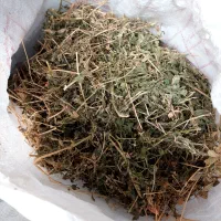 یونجه خشک غذای اصلی خرگوش پلیت مخصوص