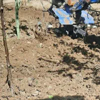 تیلر زنی( شخم )و علف زنی