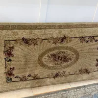 یک جفت دو عددی پشتی