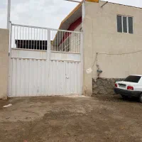 دامداری-50-راس-گوساله