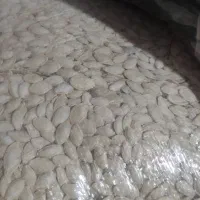 لوبیا چیتی و قرمز و تخمه کدو از مزرعه حذف واسطه|خوردنی و آشامیدنی|شیراز, آزادی|دیوار