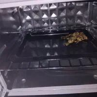 توستر نو