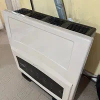 بخاری به خاطر فصل حراج و قیمت پایین گذاشتم