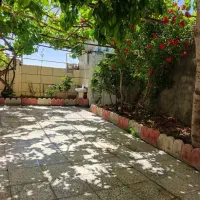 اجاره سویت منزل وویلالب خودآب|اجارهٔ کوتاه‌مدت آپارتمان و سوئیت|سامان, |دیوار