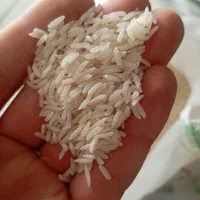 برنج طارم وفجر|عمدهفروشی|همدان, |دیوار