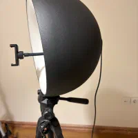 رینگ لایت نکسوس