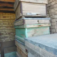 کندوزنبورعسل(خالی)درحدنو