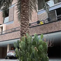 قلب-سیمین-مالک-بی-نیاز-عیونی-برند-منطقه