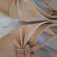 کفش مجلسی|کیف، کفش، کمربند|اسفراین, |دیوار