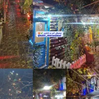 نیروی خانم کار در آشپزخانه رستوران