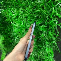 ایفون ۱۳ درحد اکبند(نقدواقساط)|موبایل|تهران, شهرک غرب|دیوار