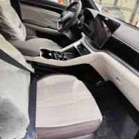 بی وای دی سانگ پلاس