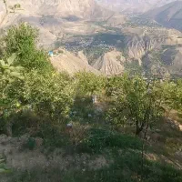 زمین ۳۱۶ متر لزیرک لاریجان