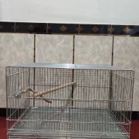 قفس
