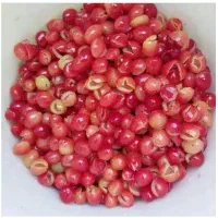 زغال اخته ارگانیک