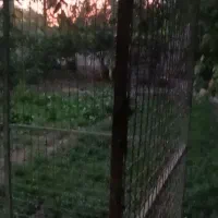 قفس برای نگهداری هر نوع پرنده یا سگ مناسب هست