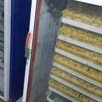 دستگاه جوجه کشی