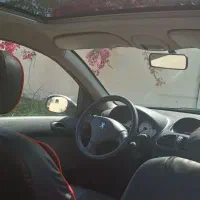 ۲۰۶ پانا کارمندی