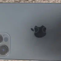 12 پرو 256|موبایل|رشت, کاکتوس|دیوار