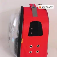 کوله حمل پرنده سگ گربه