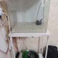 آکواریوم شرکتی