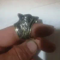 بدلیجات|بدلیجات|کرمان, |دیوار