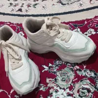 کفش سایز 39|کیف، کفش، کمربند|یاسوج, |دیوار