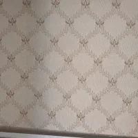 پرده زبرا دو مکانیزه