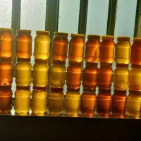 آب لیمو ، عسل ،رب گوجه|خوردنی و آشامیدنی|شیراز, دارالرحمه|دیوار