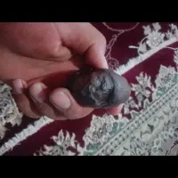 شهاب سنگ|جواهرات|چاراویماق, |دیوار