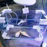 خاک پلنت و غذا ماهی