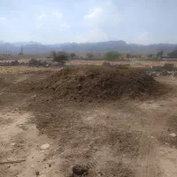 کود حیوانی (پِهِن بز )به فروش می رسد|خدمات باغبانی و درختکاری|گله دار, |دیوار