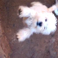 با سلام از برنامه دیوار