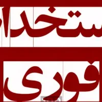 استخدام دفتردار